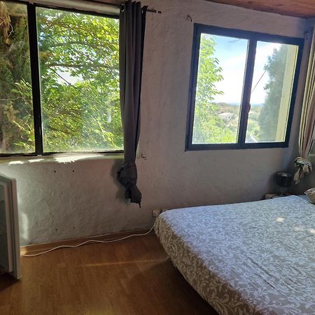 Chambre D'Hote Dans Ancien Musee Bidon 外观 照片